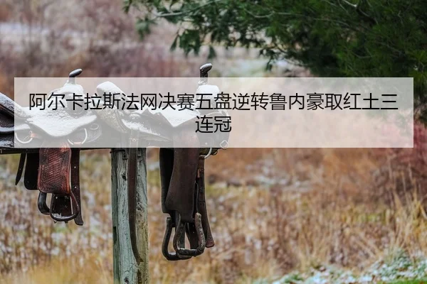 a-er-ka-la-si-fa-wang-jue-sai-wu-pan-ni-zhuan-lu-nei-hao-qu-hong-tu-san-lian-guan-2-139.jpg